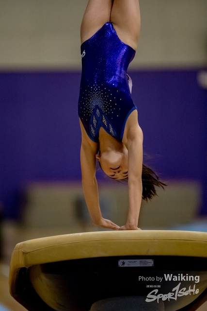 2020-01-19 Artistic Gym 0096