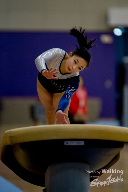 2020-01-19 Artistic Gym 0097