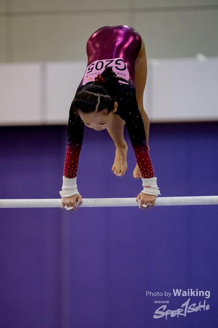 2020-01-19 Artistic Gym 0111