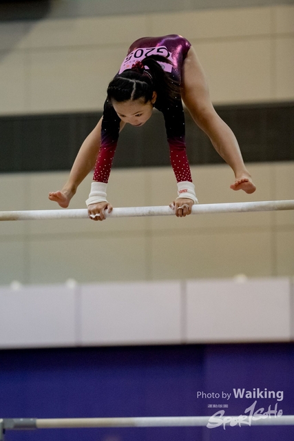 2020-01-19 Artistic Gym 0113