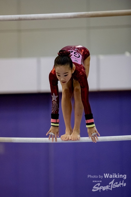 2020-01-19 Artistic Gym 0117
