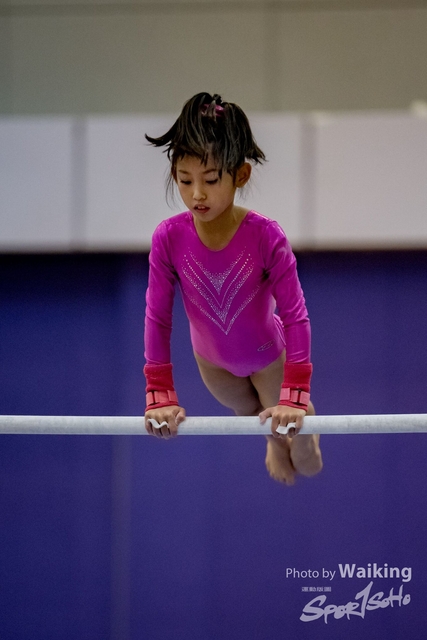 2020-01-19 Artistic Gym 0119
