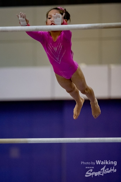 2020-01-19 Artistic Gym 0121