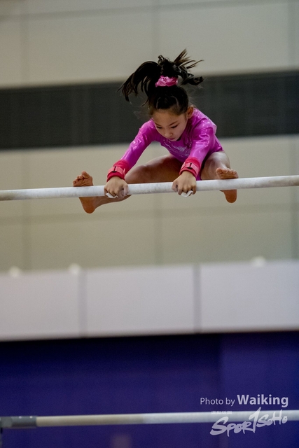 2020-01-19 Artistic Gym 0142