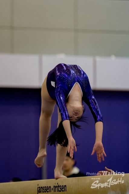 2020-01-19 Artistic Gym 0157