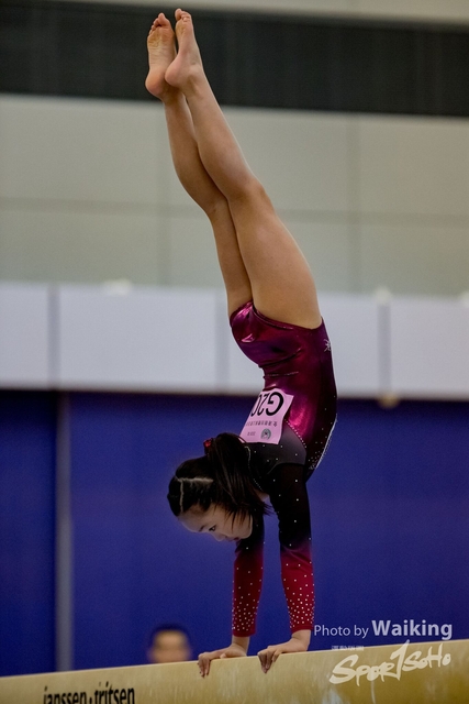 2020-01-19 Artistic Gym 0161
