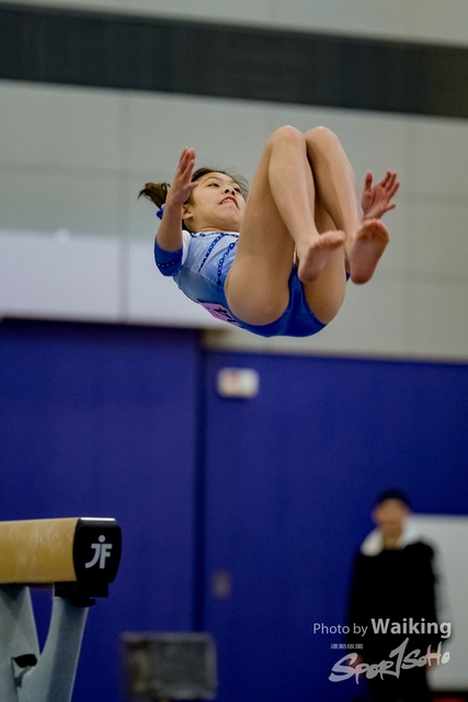 2020-01-19 Artistic Gym 0168