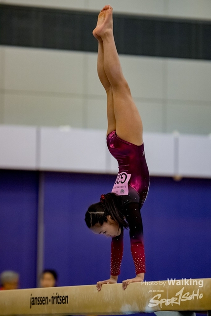 2020-01-19 Artistic Gym 0170