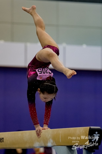 2020-01-19 Artistic Gym 0172