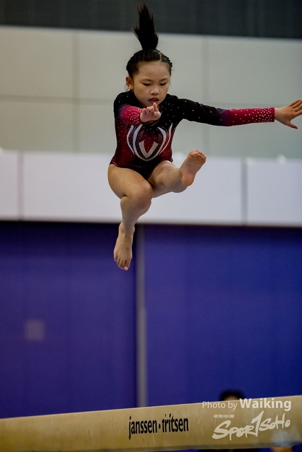 2020-01-19 Artistic Gym 0173