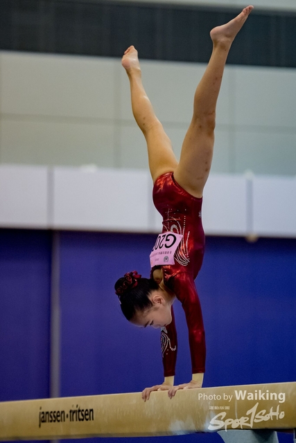 2020-01-19 Artistic Gym 0180