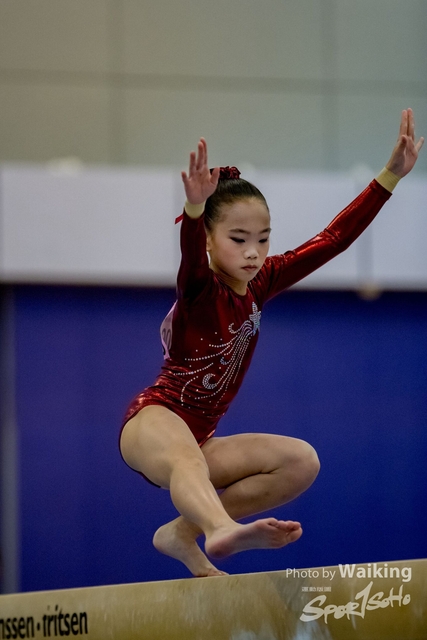 2020-01-19 Artistic Gym 0182
