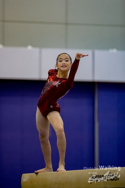 2020-01-19 Artistic Gym 0184