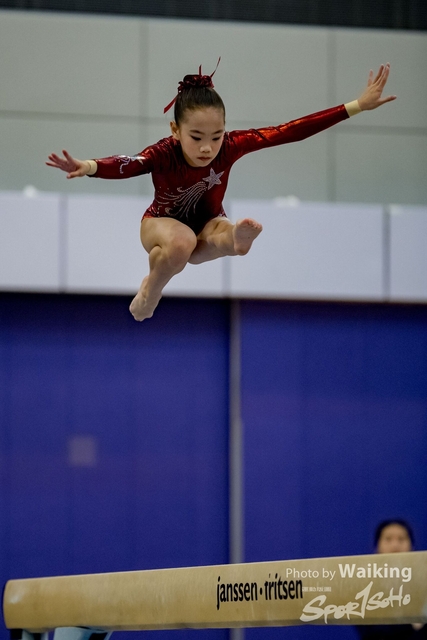 2020-01-19 Artistic Gym 0185