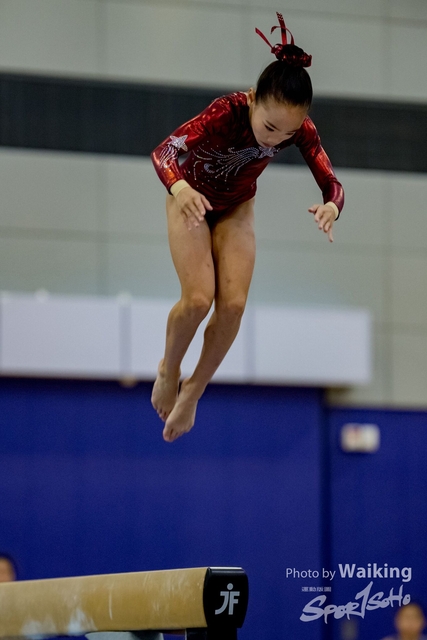 2020-01-19 Artistic Gym 0187