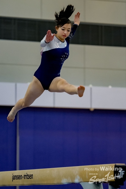2020-01-19 Artistic Gym 0198