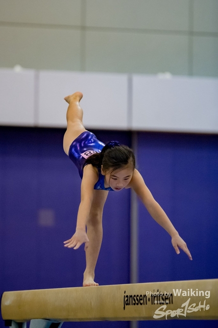 2020-01-19 Artistic Gym 0200