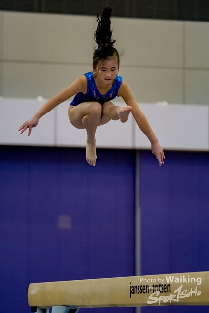 2020-01-19 Artistic Gym 0203