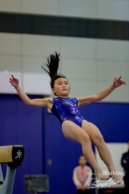 2020-01-19 Artistic Gym 0204