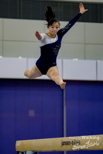 2020-01-19 Artistic Gym 0207