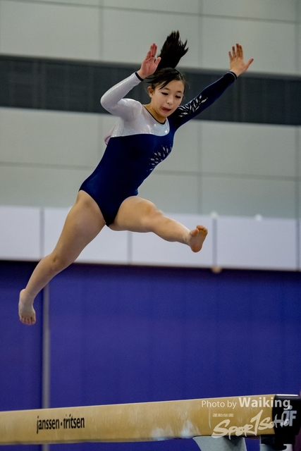 2020-01-19 Artistic Gym 0208