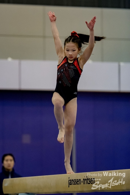 2020-01-19 Artistic Gym 0213