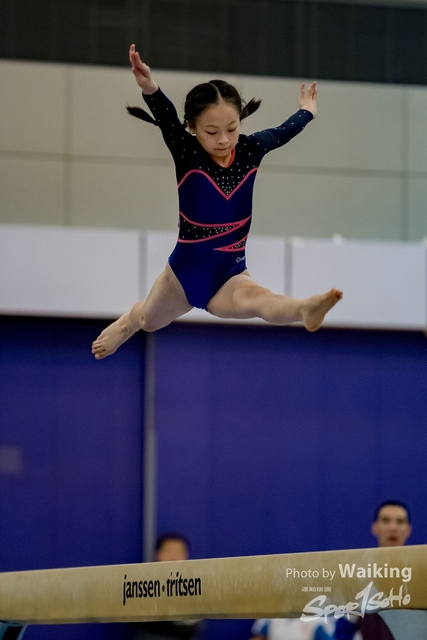 2020-01-19 Artistic Gym 0215
