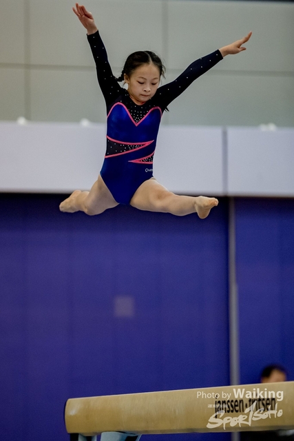 2020-01-19 Artistic Gym 0216