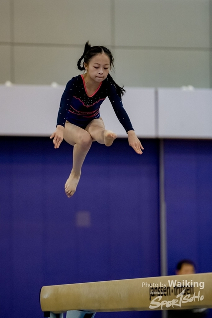2020-01-19 Artistic Gym 0217