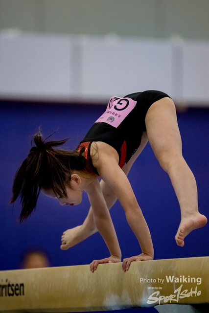 2020-01-19 Artistic Gym 0218