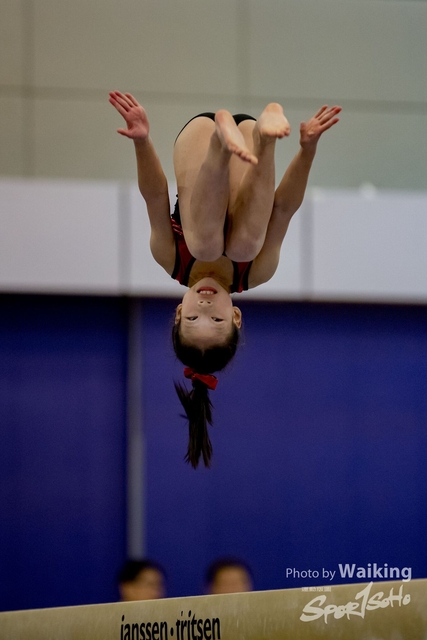2020-01-19 Artistic Gym 0220