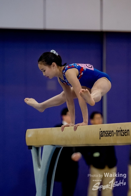 2020-01-19 Artistic Gym 0223