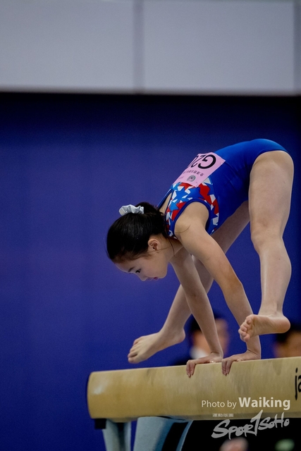 2020-01-19 Artistic Gym 0224