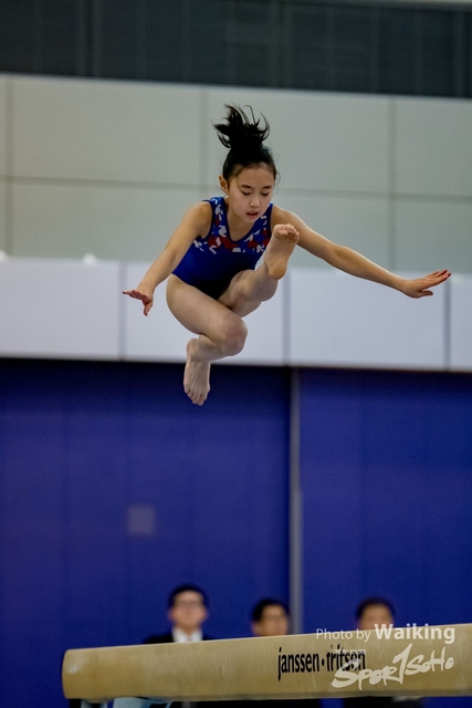 2020-01-19 Artistic Gym 0227