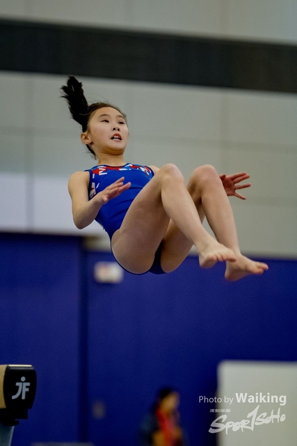 2020-01-19 Artistic Gym 0228