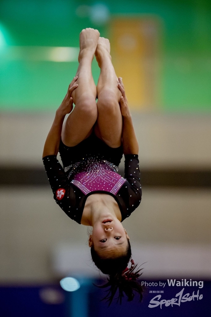 2020-01-19 Artistic Gym 0229