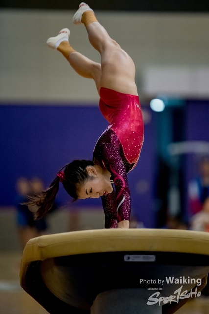 2020-01-19 Artistic Gym 0230