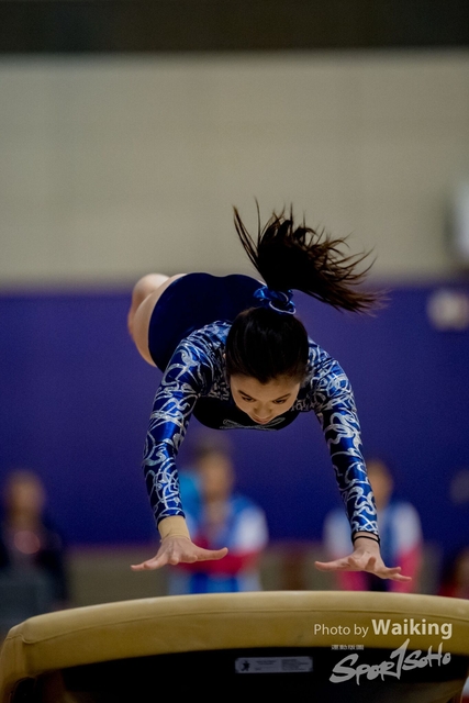 2020-01-19 Artistic Gym 0232