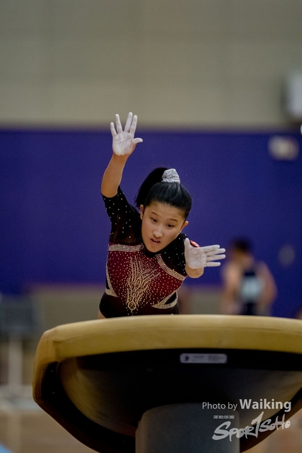2020-01-19 Artistic Gym 0233