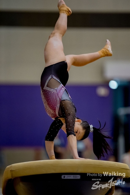 2020-01-19 Artistic Gym 0234