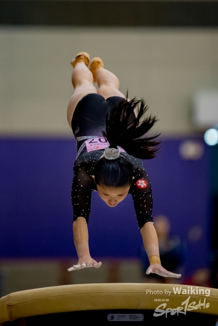 2020-01-19 Artistic Gym 0235
