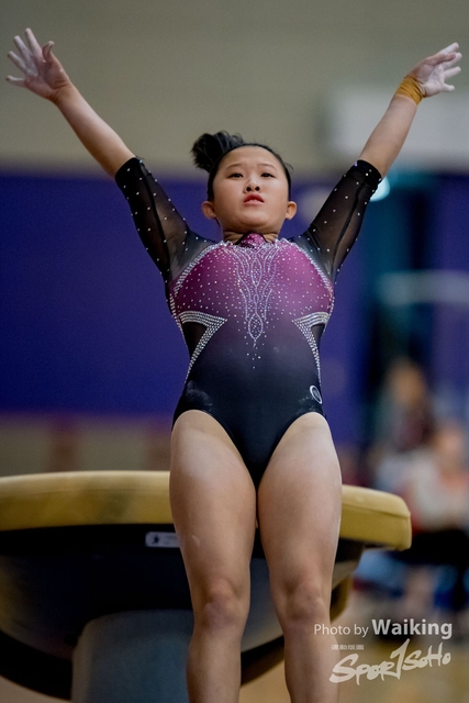 2020-01-19 Artistic Gym 0236