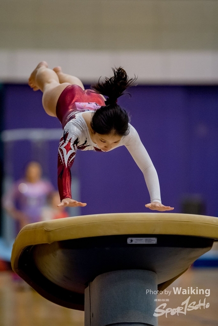 2020-01-19 Artistic Gym 0254