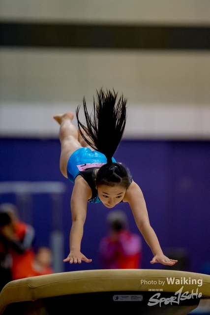 2020-01-19 Artistic Gym 0256