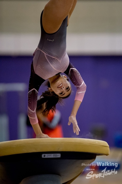 2020-01-19 Artistic Gym 0258