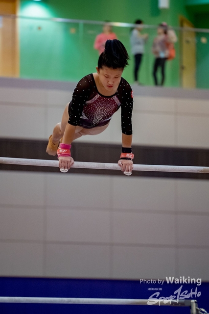 2020-01-19 Artistic Gym 0267
