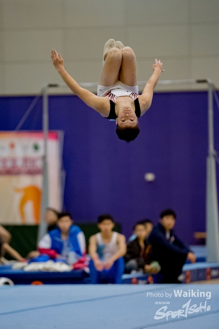 2020-01-19 Artistic Gym 0309