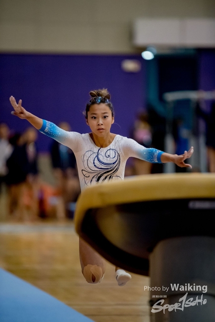 2020-01-19 Artistic Gym 0311