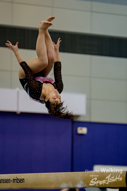 2020-01-19 Artistic Gym 0317