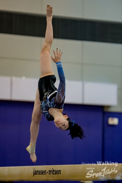 2020-01-19 Artistic Gym 0321